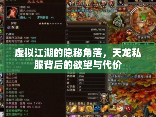 虚拟江湖的隐秘角落，天龙私服背后的欲望与代价