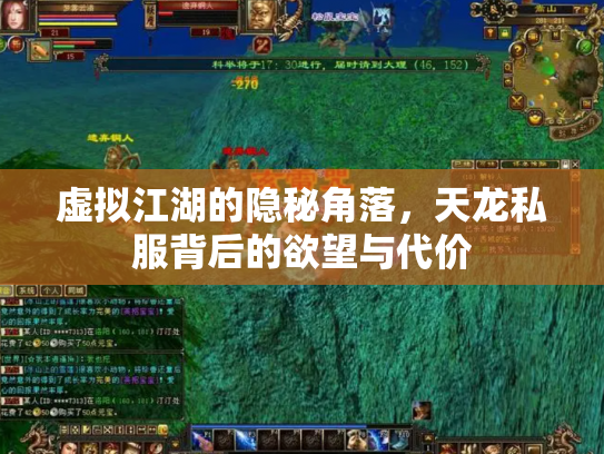 虚拟江湖的隐秘角落，天龙私服背后的欲望与代价