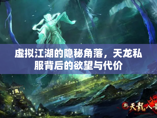 虚拟江湖的隐秘角落，天龙私服背后的欲望与代价