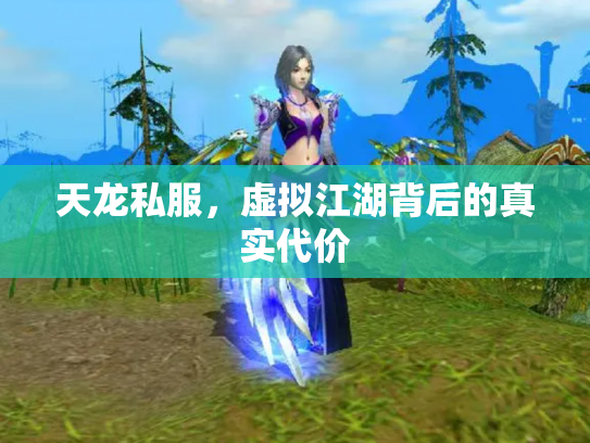 天龙私服，虚拟江湖背后的真实代价