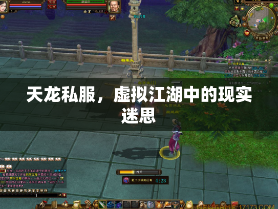 天龙私服，虚拟江湖中的现实迷思