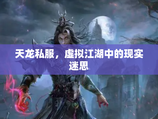 天龙私服，虚拟江湖中的现实迷思