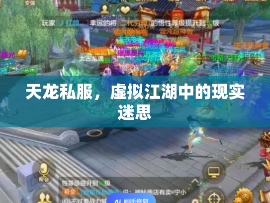 天龙私服，虚拟江湖中的现实迷思