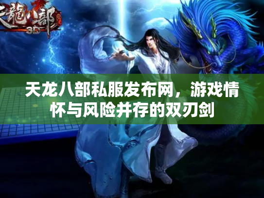 天龙八部私服发布网，游戏情怀与风险并存的双刃剑
