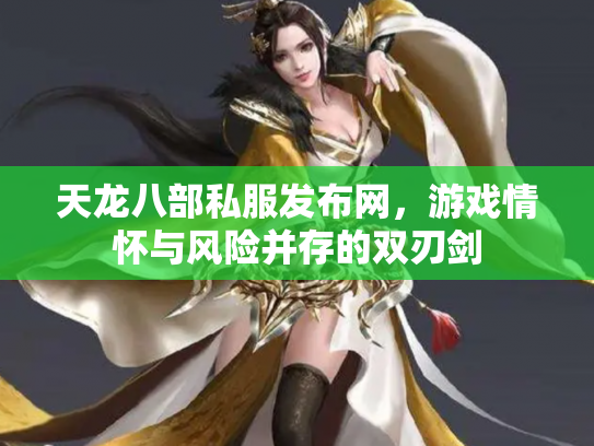 天龙八部私服发布网，游戏情怀与风险并存的双刃剑