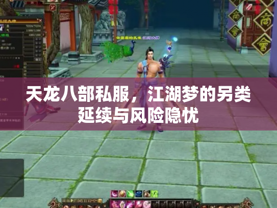 天龙八部私服，江湖梦的另类延续与风险隐忧