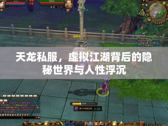 天龙私服，虚拟江湖背后的隐秘世界与人性浮沉