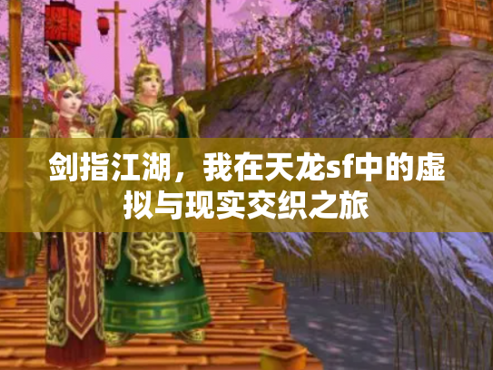 剑指江湖，我在天龙sf中的虚拟与现实交织之旅