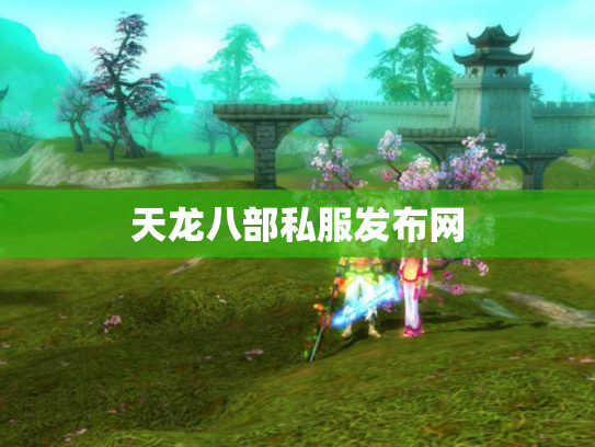 天龙八部私服发布网