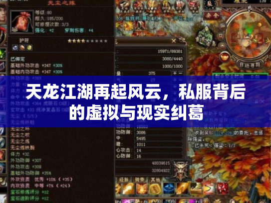天龙江湖再起风云，私服背后的虚拟与现实纠葛