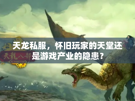 天龙私服，怀旧玩家的天堂还是游戏产业的隐患？