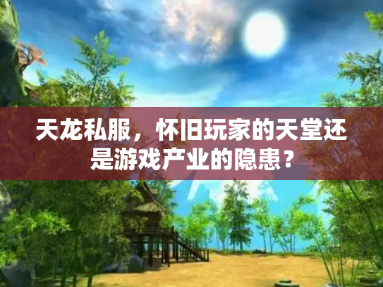 天龙私服，怀旧玩家的天堂还是游戏产业的隐患？
