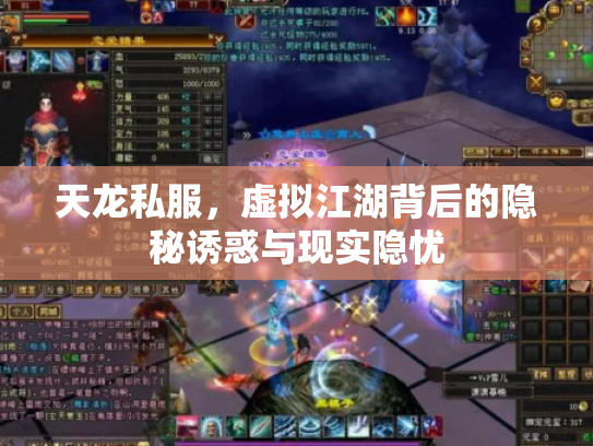 天龙私服，虚拟江湖背后的隐秘诱惑与现实隐忧