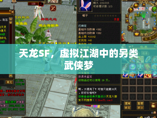 天龙SF，虚拟江湖中的另类武侠梦