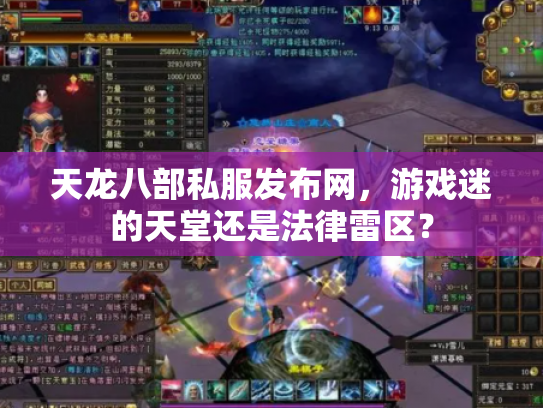 天龙八部私服发布网，游戏迷的天堂还是法律雷区？