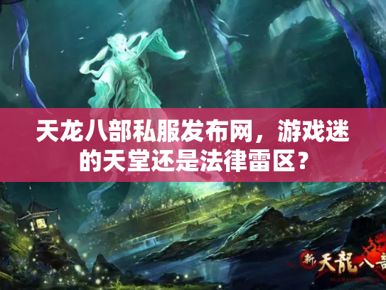 天龙八部私服发布网，游戏迷的天堂还是法律雷区？