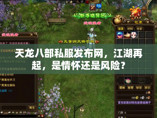 天龙八部私服发布网，江湖再起，是情怀还是风险？