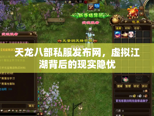 天龙八部私服发布网，虚拟江湖背后的现实隐忧