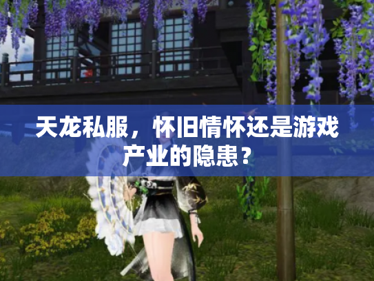 天龙私服，怀旧情怀还是游戏产业的隐患？