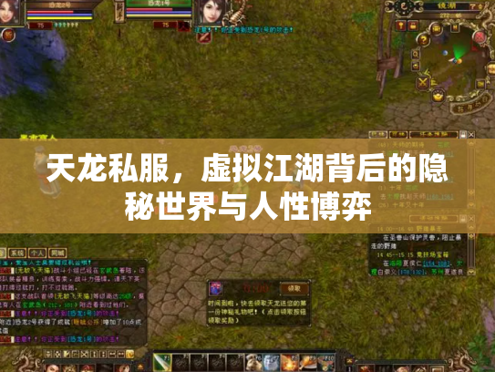 天龙私服，虚拟江湖背后的隐秘世界与人性博弈