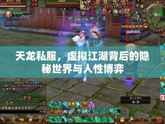 天龙私服，虚拟江湖背后的隐秘世界与人性博弈