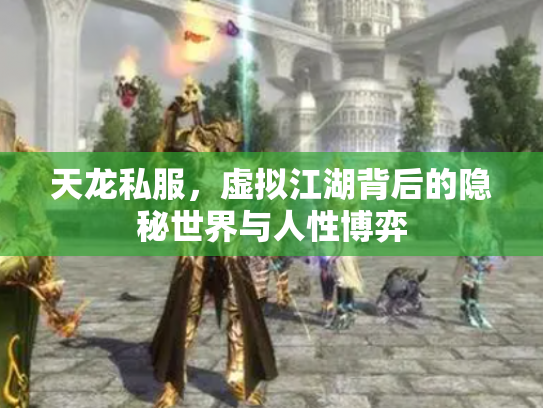 天龙私服，虚拟江湖背后的隐秘世界与人性博弈