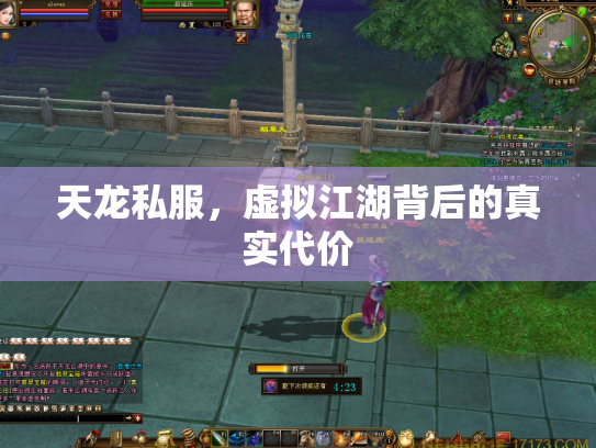 天龙私服，虚拟江湖背后的真实代价
