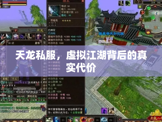天龙私服，虚拟江湖背后的真实代价