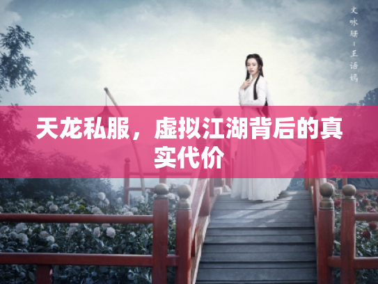 天龙私服，虚拟江湖背后的真实代价