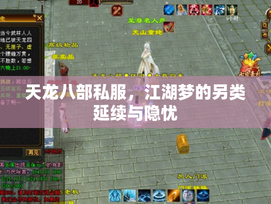 天龙八部私服，江湖梦的另类延续与隐忧