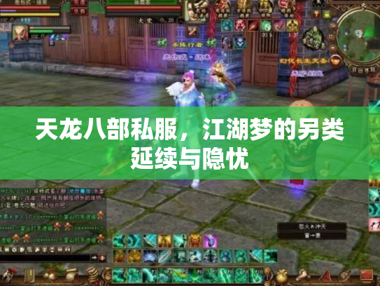 天龙八部私服，江湖梦的另类延续与隐忧