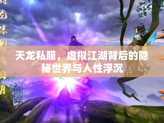 天龙私服，虚拟江湖背后的隐秘世界与人性浮沉