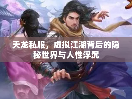天龙私服，虚拟江湖背后的隐秘世界与人性浮沉