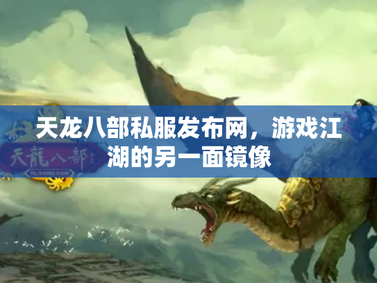 天龙八部私服发布网，游戏江湖的另一面镜像