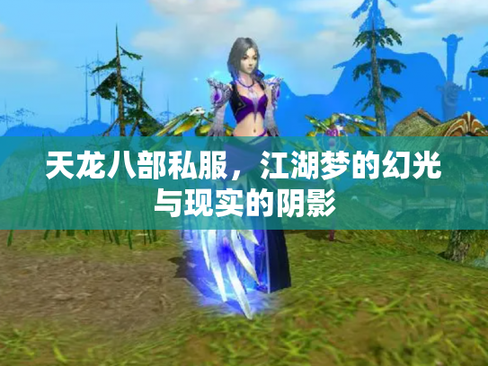 天龙八部私服，江湖梦的幻光与现实的阴影