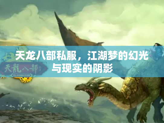 天龙八部私服，江湖梦的幻光与现实的阴影