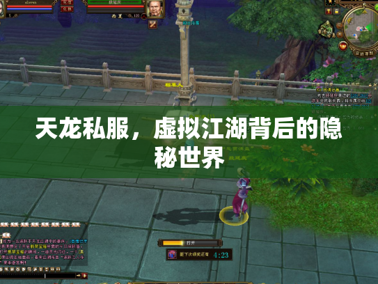 天龙私服，虚拟江湖背后的隐秘世界