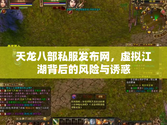 天龙八部私服发布网，虚拟江湖背后的风险与诱惑