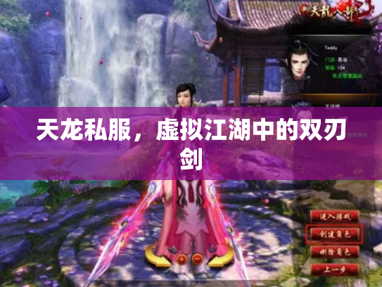 天龙私服，虚拟江湖中的双刃剑
