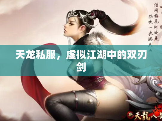 天龙私服，虚拟江湖中的双刃剑