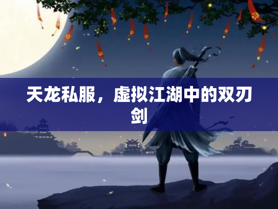 天龙私服，虚拟江湖中的双刃剑