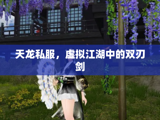 天龙私服，虚拟江湖中的双刃剑