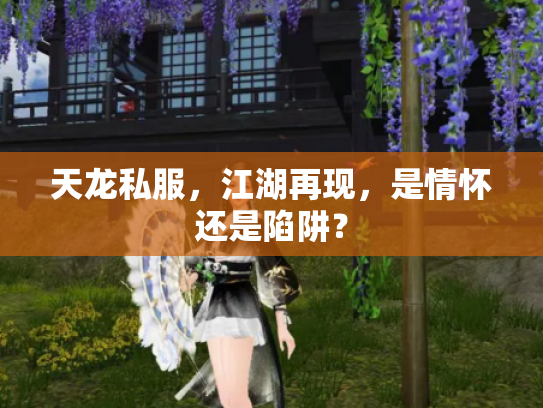 天龙私服，江湖再现，是情怀还是陷阱？