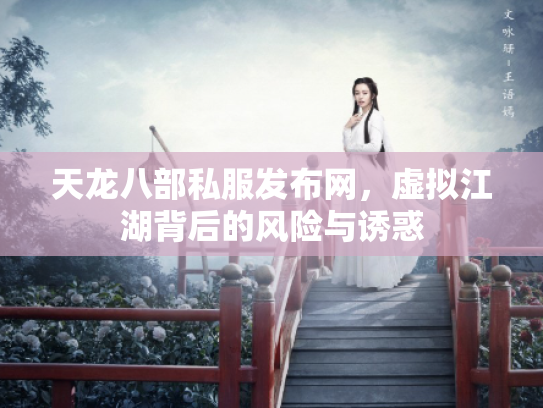 天龙八部私服发布网，虚拟江湖背后的风险与诱惑