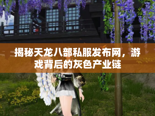 揭秘天龙八部私服发布网，游戏背后的灰色产业链