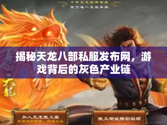 揭秘天龙八部私服发布网，游戏背后的灰色产业链