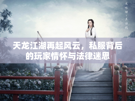 天龙江湖再起风云，私服背后的玩家情怀与法律迷思
