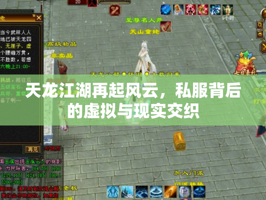 天龙江湖再起风云，私服背后的虚拟与现实交织