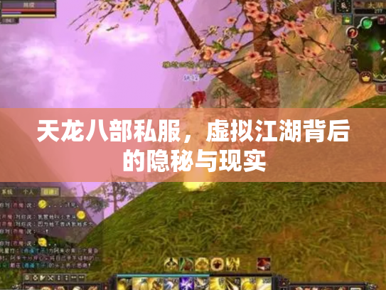 天龙八部私服，虚拟江湖背后的隐秘与现实