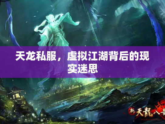 天龙私服，虚拟江湖背后的现实迷思